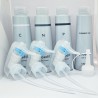 LebeL Proedit Care Works (C, N, P, Element Fix) – a professional four-step hair restoration system