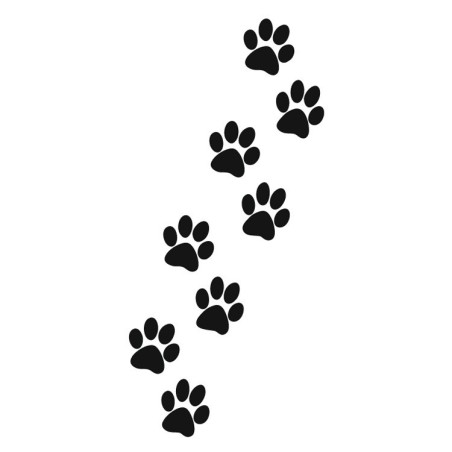 Paw Prints Henna Stencil 10×15cm – Self-Adhesive