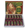 Box of 12 Neeta henna cones, fresh 07/2026 – natural brown paste for henna tattoos